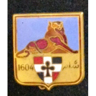 35° RI : 35° RÉGIMENT D'INFANTERIE (DOM) ÉMAIL BLEU FONCÉ
