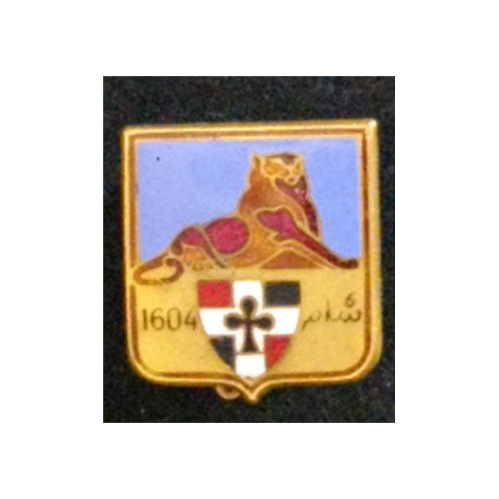 35° RI : 35° RÉGIMENT D'INFANTERIE (DOM) ÉMAIL BLEU FONCÉ