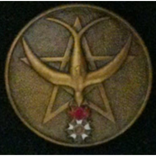 1°RTM : 1°RÉGIMENT DE TIRAILLEURS MAROC T3 ÉMAIL (DOM)