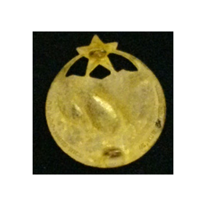 1°RTM : 1°RÉGIMENT DE TIRAILLEURS MAROC TYPE 4 ÉMAIL (DOM)