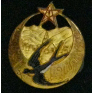 1°RTM : 1°RÉGIMENT DE TIRAILLEURS MAROCAINS (D BER) PEINT DORÉ