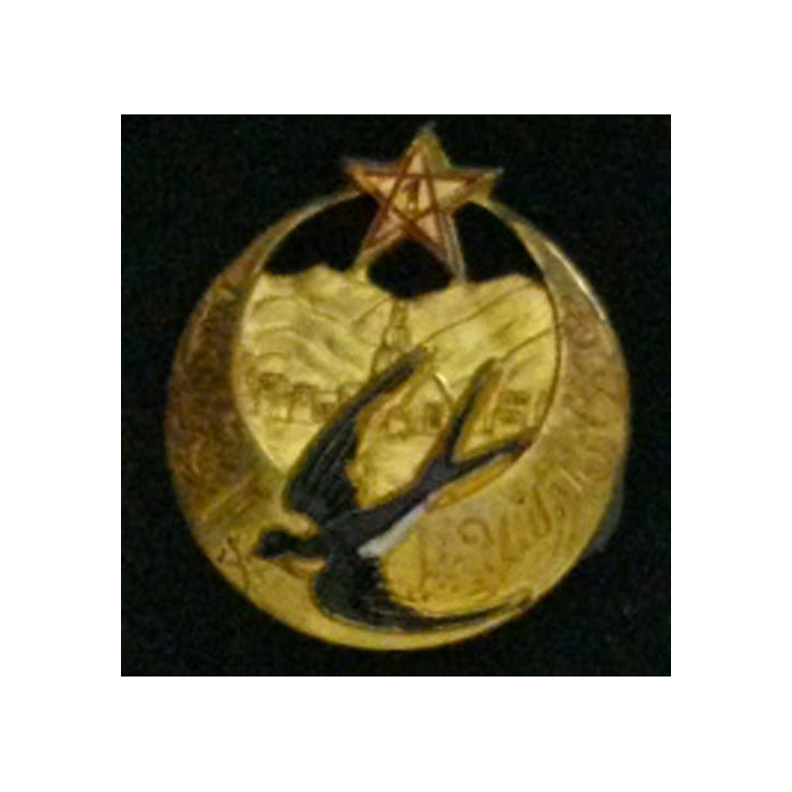 1°RTM : 1°RÉGIMENT DE TIRAILLEURS MAROCAINS (D BER) PEINT DORÉ
