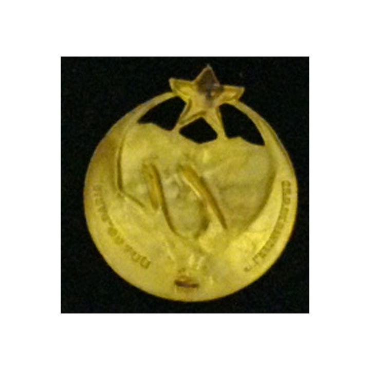 1°RTM : 1°RÉGIMENT DE TIRAILLEURS MAROCAINS (D BER) PEINT DORÉ
