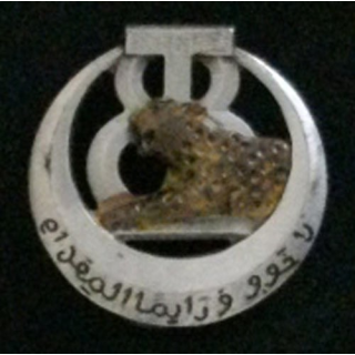 8° RTT : 8° RÉGIMENT DE TIRAILLEURS TUNISIENS (DRAGO BÉRANGER)