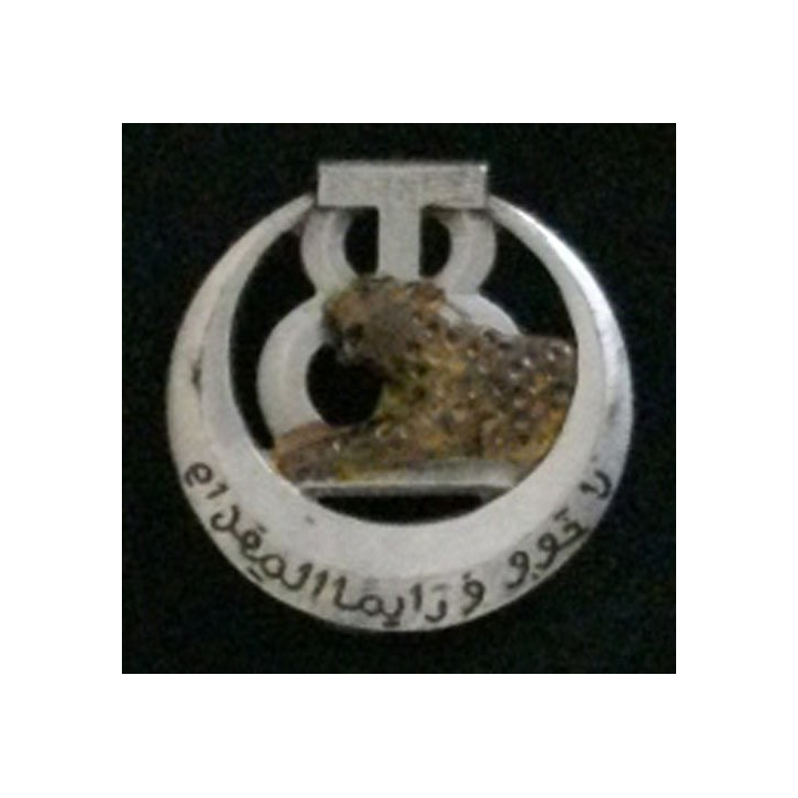 8° RTT : 8° RÉGIMENT DE TIRAILLEURS TUNISIENS (DRAGO BÉRANGER)
