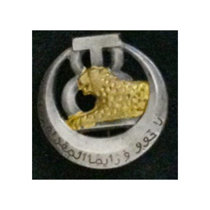 8° RTT : 8° RÉGIMENT DE TIRAILLEURS TUNISIENS (DRAGO BÉRANGER 142)
