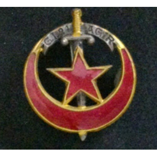 GI 21 : GROUPEMENT D'INFANTERIE G.I 21 AGIR (D BER 590) ÉMAIL