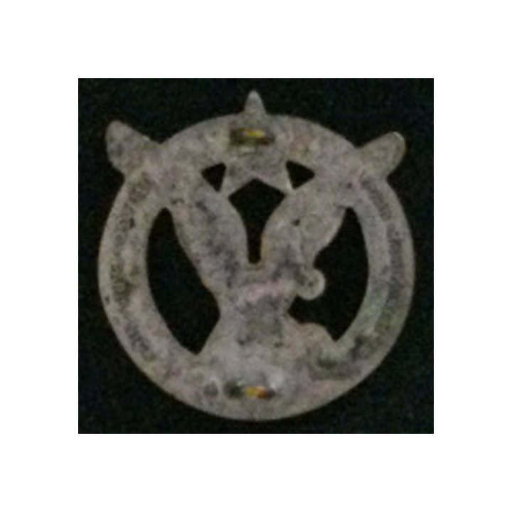 3°RTM : 3°RÉGIMENT DE TIRAILLEURS MAROCAINS (DOM)
