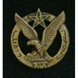 3°RTM : 3°RÉGIMENT DE TIRAILLEURS MAROC  (LOCALE INDO SANS ATT)