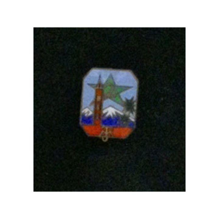 2° RTM : 2° RÉGIMENT DE TIRAILLEURS MAROCAINS ÉMAIL (19 mm)