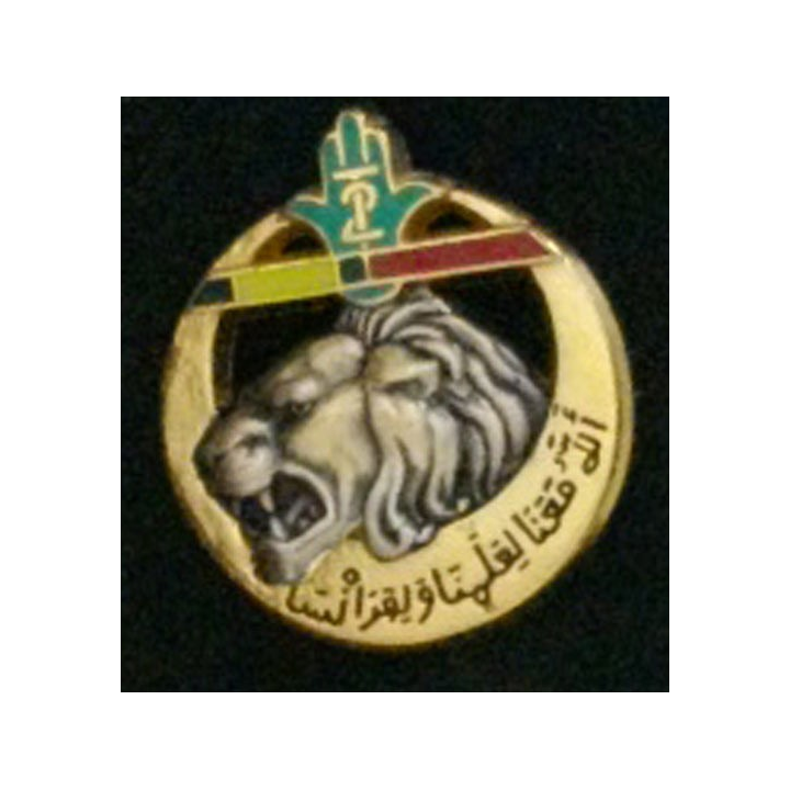 1° RT : 1° RÉGIMENT DE TIRAILLEURS 2° COMPAGNIE 1997 (BALLARD)