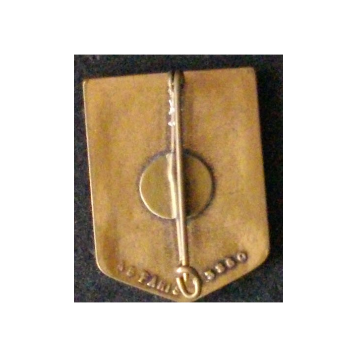 46° RI : 46° RÉGIMENT D'INFANTERIE (AB 3860) ÉMAIL