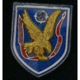 8° régiment parachutiste d'infanterie de Marine RPIMA EXTRACTION FORCE