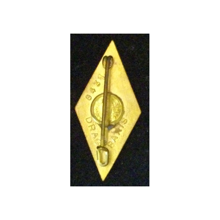 57°RI : 57°RÉGIMENT D'INFANTERIE LOSANGE (D 431) ÉMAIL