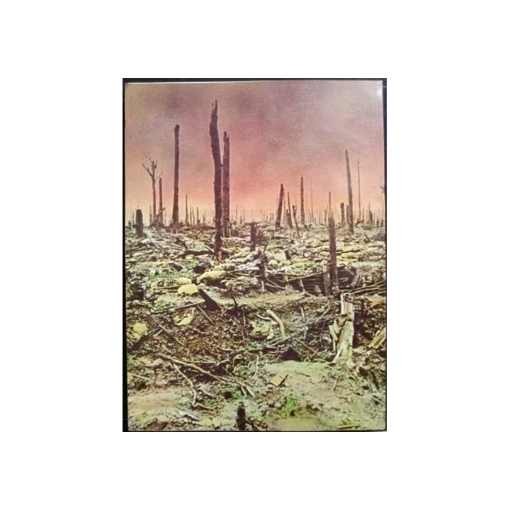 La grande guerre 1914-1918 de David Shermer
