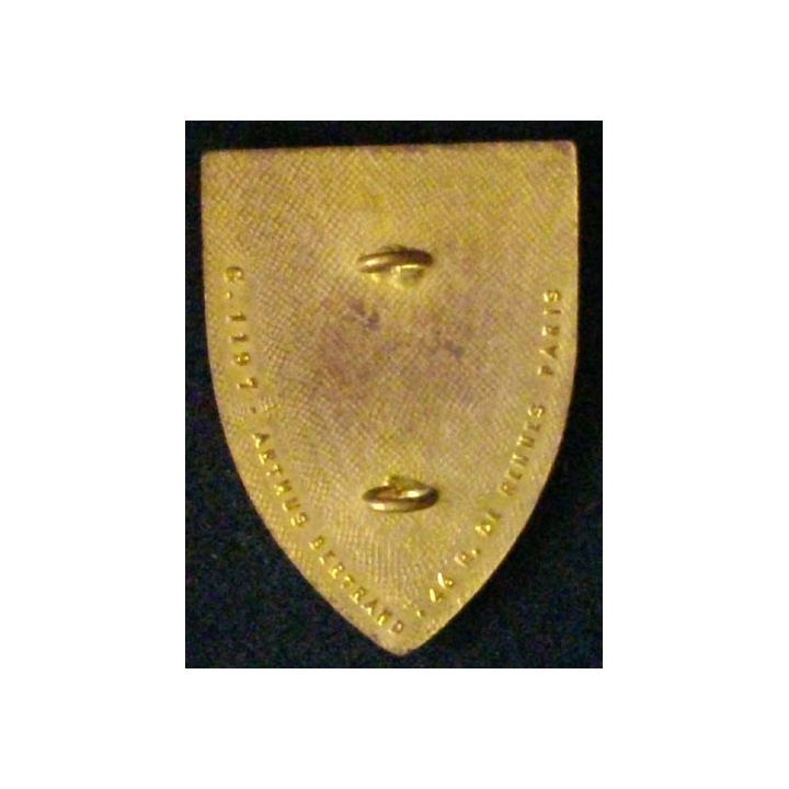 8° RIM : 8° RÉGIMENT D'INF MOTORISÉ AUSTRASIE (AB 1197) ÉMAIL
