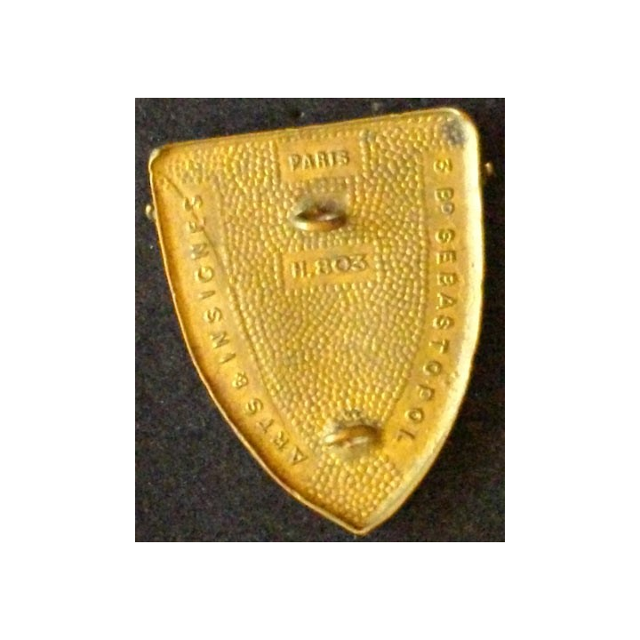 FFA : FORCES FRANCAISES EN ALLEMAGNE (ARTS & INS 803) insigne