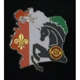 1° escadron du 6° et 12° Régiment de Cuirassiers Opération Licorne