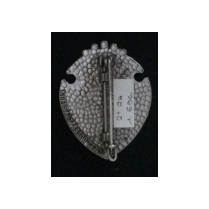 HUSSARDS : insigne du 1° Escadron du 2°Régiment de Hussards LE TEXEL 1795 de fabrication Delsart