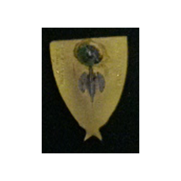 11° régiment de chasseurs d'Afrique 