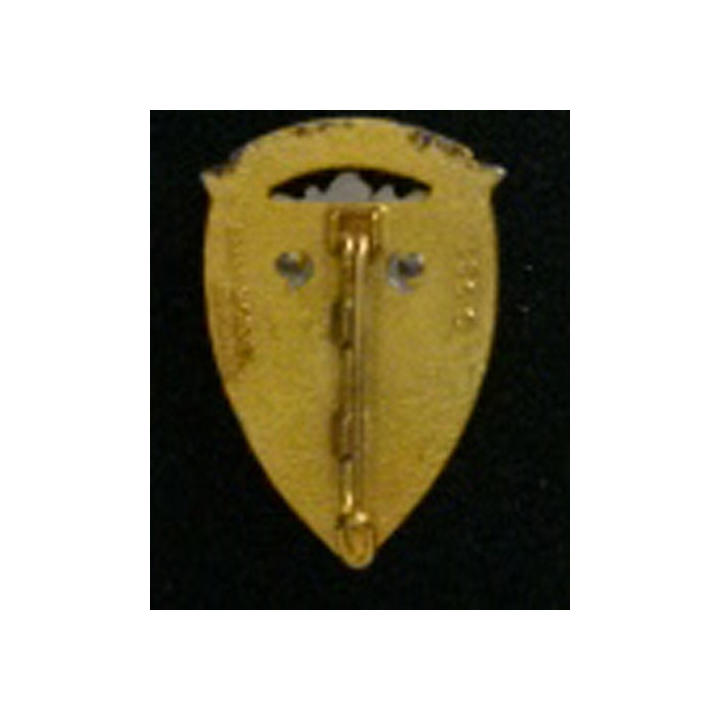 CUIRS : insigne du 3° régiment de cuirassiers fabrication Drago Noisiel Marne La vallée G.951