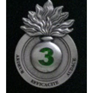 3° escadron du 6° et 12° régiment de cuirassiers Arthus Bertrand Paris