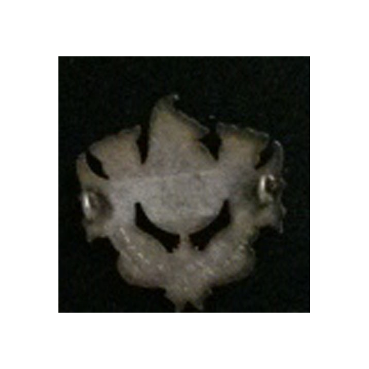 DRAGONS : insigne du 20° régiment de dragons en émail grand feu de fabrication Drago
