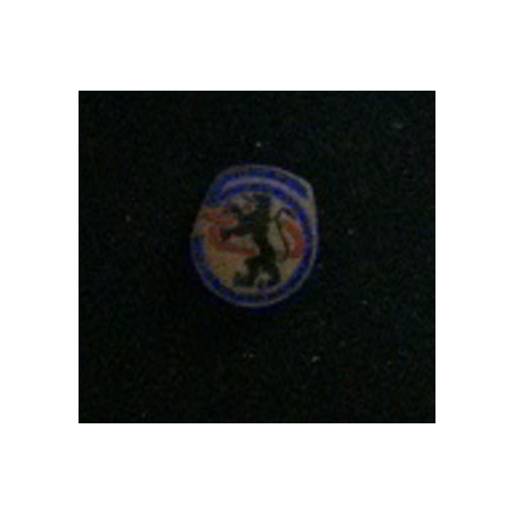 5° régiment de chasseurs d'Afrique émaillé 21 mm avec un éclat d'émail