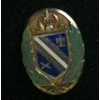 31°CC : insigne de la 31° compagnie de camp fabriqué par Drago G. 955, sans attache