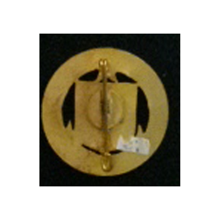 15° COA : insigne de la 15° section des commis ouvriers d'administration "Orient 1915 - 1919" en émail