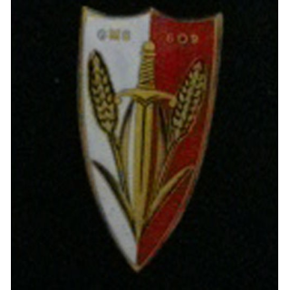 609° GMS : insigne du 609° groupe mixte des subsistances fabrication Drago Béranger H. 734 en émail