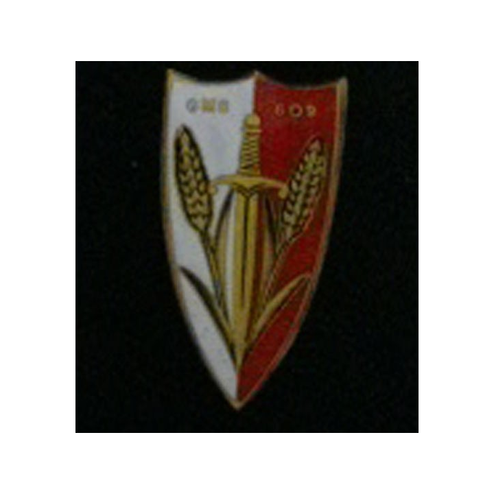 609° GMS : insigne du 609° groupe mixte des subsistances fabrication Drago Béranger H. 734 en émail