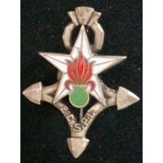 2°CSPL : 2°COMPAGNIE SAHARIENNE PORTÉE DE LA LÉGION