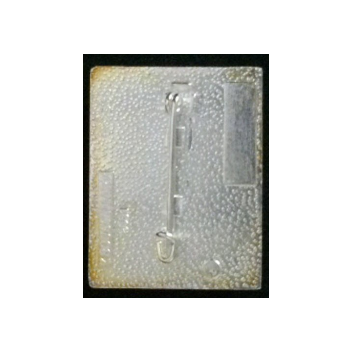 2° REI : 2° RÉGIMENT ÉTRANGER D'INFANTERIE PLAQUÉ "ARGENT"