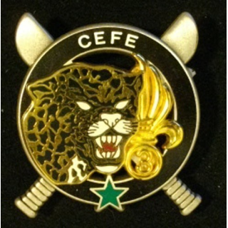 3° REI : 3°RÉGIMENT ÉTRANGER D'INFANTERIE CEFE ÉTOILE