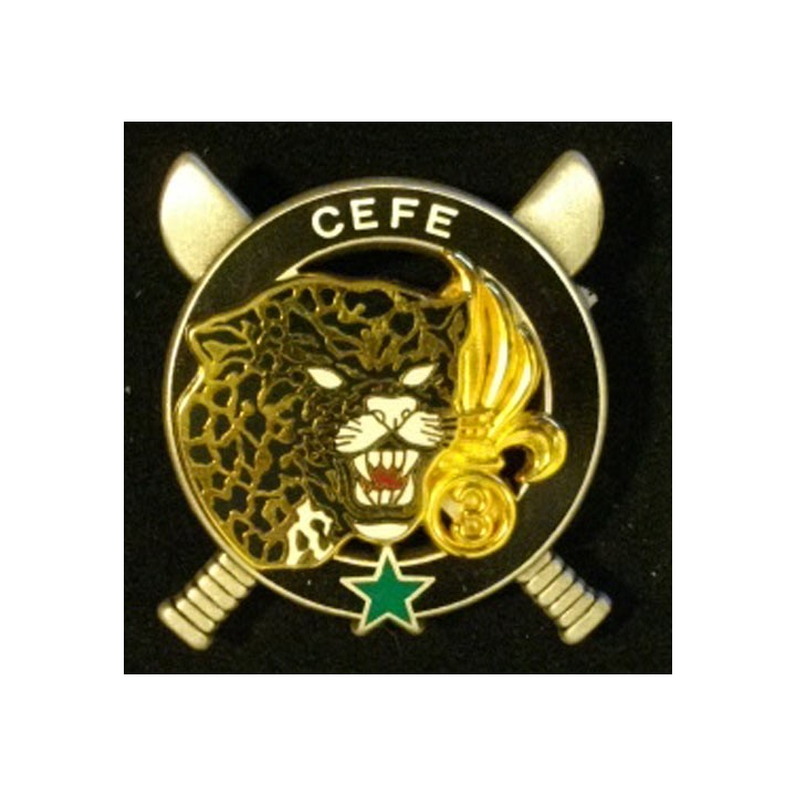 3° REI : 3°RÉGIMENT ÉTRANGER D'INFANTERIE CEFE ÉTOILE
