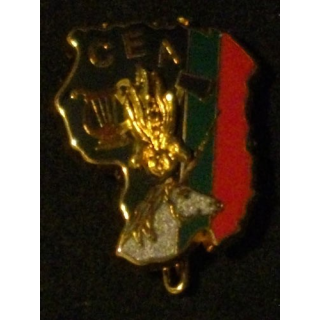 3° REI : 3° RÉGIMENT ÉTRANGER D'INFANTERIE CEA CARTE (DESTRÉE)