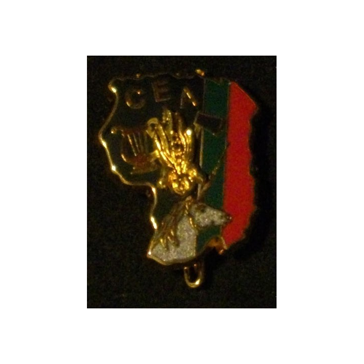 3° REI : 3° RÉGIMENT ÉTRANGER D'INFANTERIE CEA CARTE (DESTRÉE)