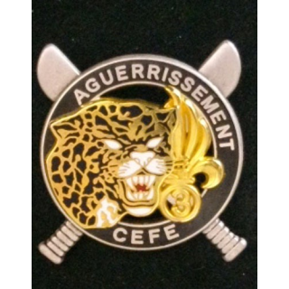 3° REI : 3° RÉGIMENT ÉTRANGER D'INFANTERIE AGUERRISSEMENT CEFE