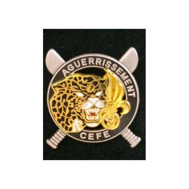 3° REI : 3° RÉGIMENT ÉTRANGER D'INFANTERIE AGUERRISSEMENT CEFE