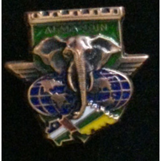 17° RGP CA RCA :Compagnie d'appui CA du 17° RGP en République Centrafricaine RCA opération Almandin en bronze massif