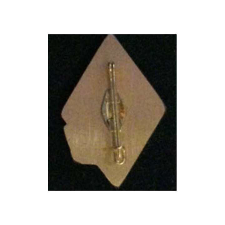 4° REI : insigne de la section de pionniers du 4° régiment étranger d'infanterie en bronze massif boléro allongé