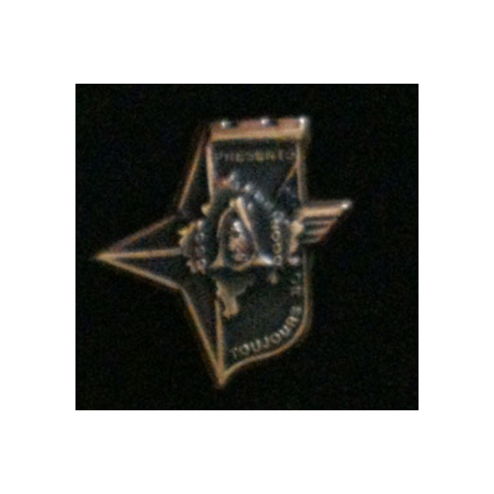17° RGP : CA du 17° régiment du génie parachutiste KFOR 1999-2000 tout bronze massif boléro allongé