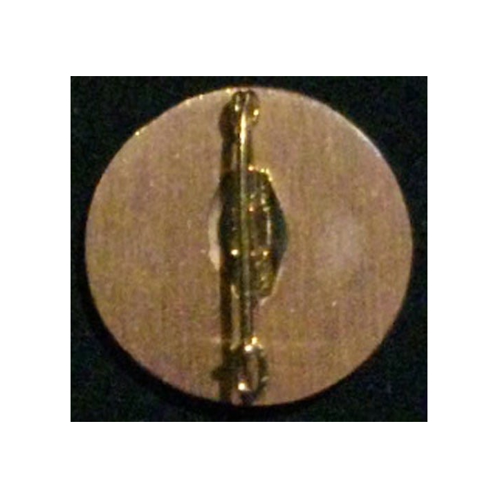1° REC : insigne du 2° escadron du 1° régiment étranger de cavalerie en bronze massif hippocampe sur fond grenat boléro allongé