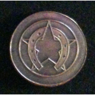 4° REI : insigne de la 2° compagnie du 4° régiment étranger d'infanterie tout en bronze massif boléro allongé
