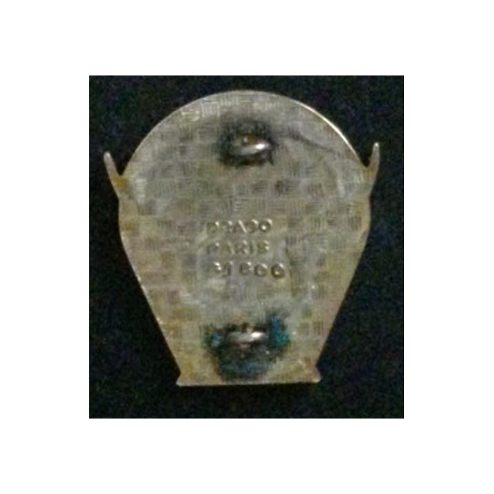 813° GET : insigne du 813° groupe d'exploitation des transmissions de fabrication Drago G.1800 deux anneaux