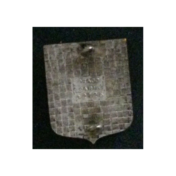 43° RT : insigne du 43° régiment de transmissions de fabrication Drago G. 2125 en émail dos guilloché argenté