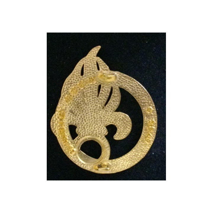 COMLE : COMMANDEMENT DE LA LÉGION ÉTRANGÈRE INSIGNE DE BÉRET
