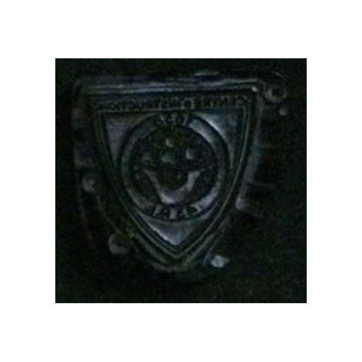 MATRICE SUR RÉSINE ou bakélite du 43° régiment d'infanterie (taille de l'insigne 2,5 x 2,4 cm)
