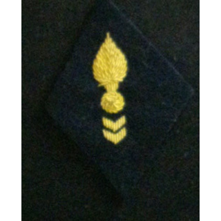 losange de bras modèle 45 CTA CANNETILLE : insigne de losange de bras du corps technique et administratif en cannetille or
